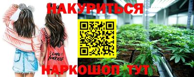 трава Брянск